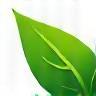 A stylized green leaf representing environmental sustainability.